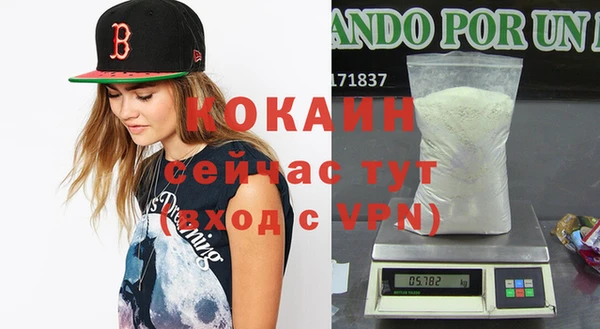 прущие крисы Новозыбков