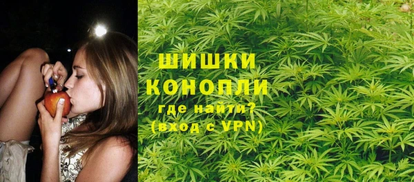 Альфа ПВП Аркадак